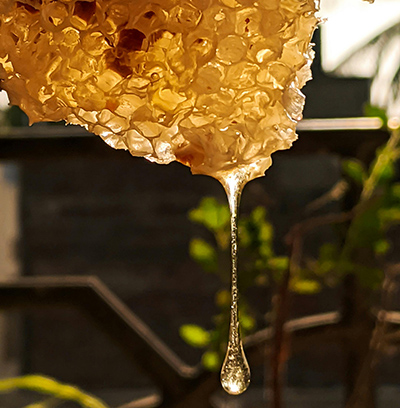 elaboración de la miel cruda